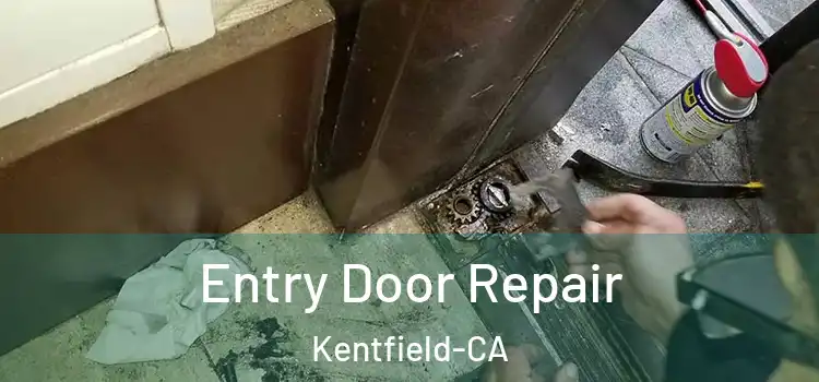  Entry Door Repair Kentfield-CA